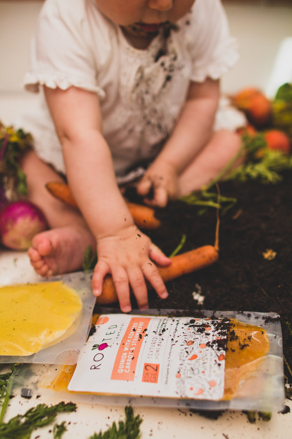 The Importance of Correct Introduction of Nutrition